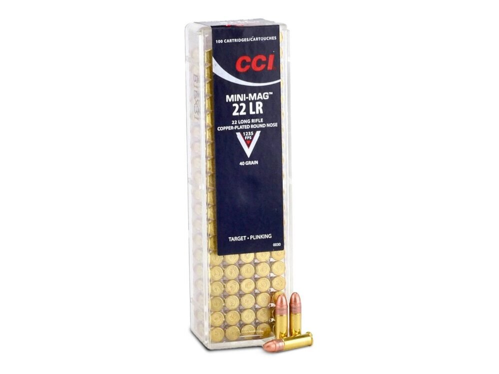 Bulk .22 LR Ammo Picks That Cut Down on Duds