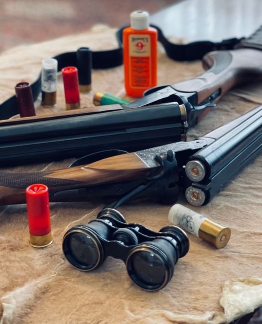 A shotgun with ammunition and binoculars laid on fur