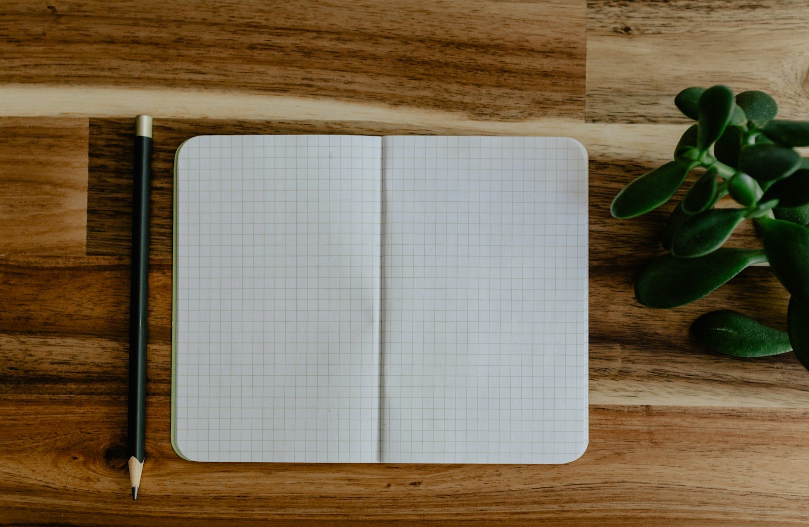 open pocket notebook with a pencil resting on the page