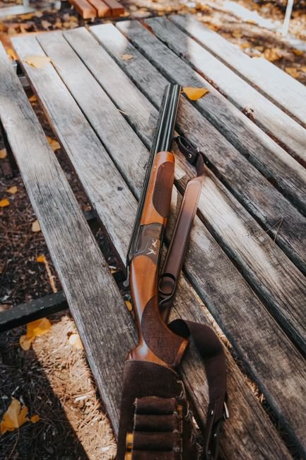 hunting shotgun resting on a wooden bench outdoors after a field day