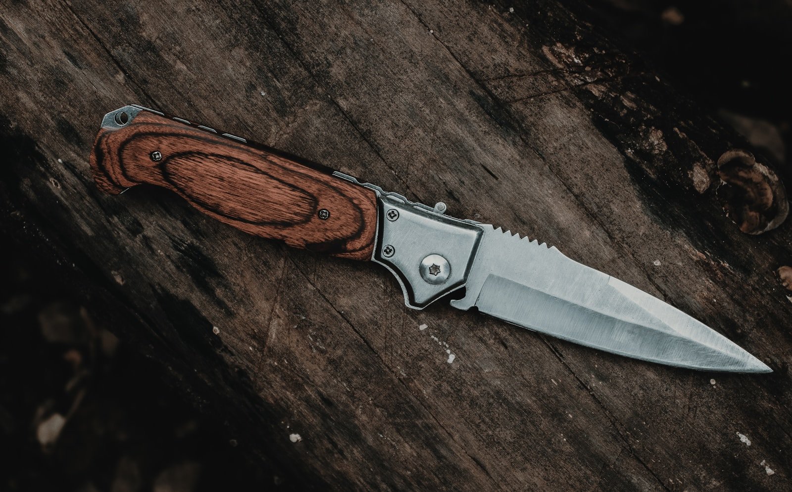 protectpocketgearrust edc deals pocket knife with a metal blade and wood handle the type of everyday carry tool that benefits from regular rust prevention care